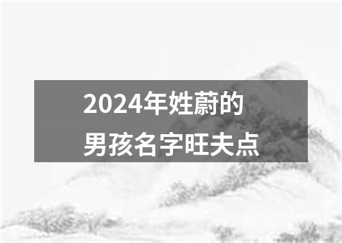 2024年姓蔚的男孩名字旺夫点