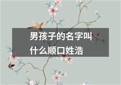 男孩子的名字叫什么顺口姓浩