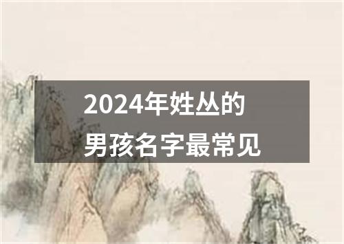 2024年姓丛的男孩名字最常见