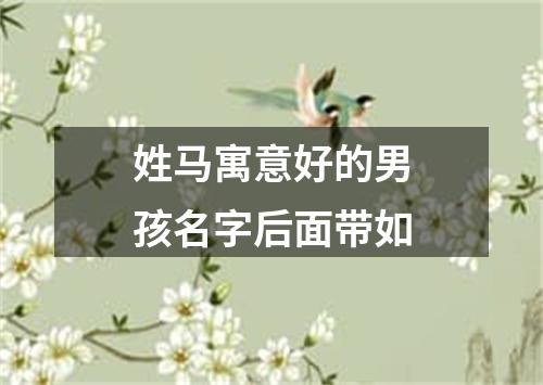 姓马寓意好的男孩名字后面带如