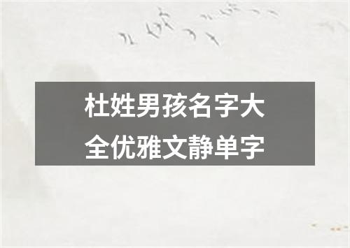 杜姓男孩名字大全优雅文静单字