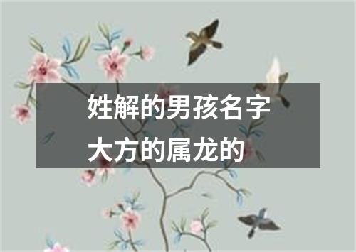 姓解的男孩名字大方的属龙的