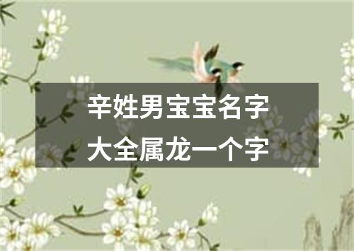 辛姓男宝宝名字大全属龙一个字