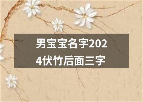 男宝宝名字2024伏竹后面三字