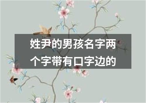 姓尹的男孩名字两个字带有口字边的