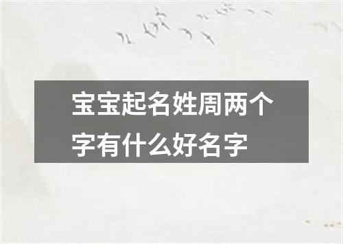 宝宝起名姓周两个字有什么好名字