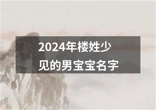 2024年楼姓少见的男宝宝名字