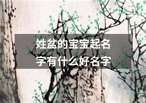 姓盆的宝宝起名字有什么好名字