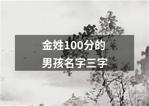 金姓100分的男孩名字三字