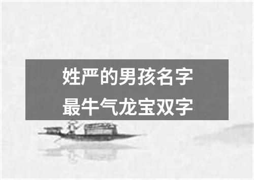 姓严的男孩名字最牛气龙宝双字