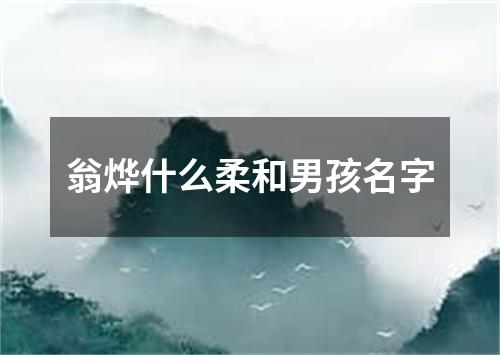 翁烨什么柔和男孩名字