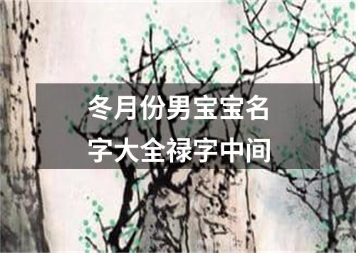 冬月份男宝宝名字大全禄字中间