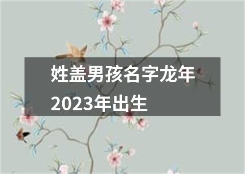 姓盖男孩名字龙年2023年出生