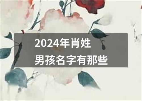 2024年肖姓男孩名字有那些