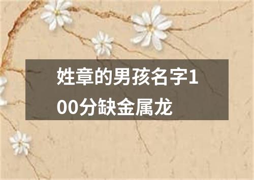 姓章的男孩名字100分缺金属龙