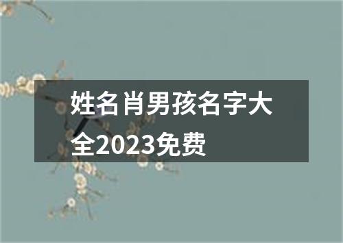 姓名肖男孩名字大全2023免费