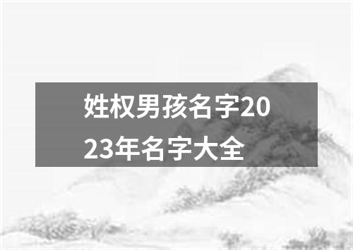 姓权男孩名字2023年名字大全