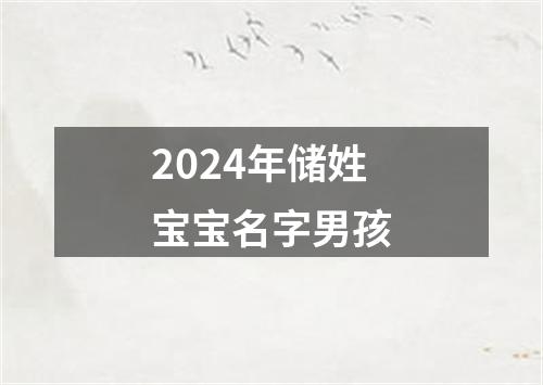 2024年储姓宝宝名字男孩