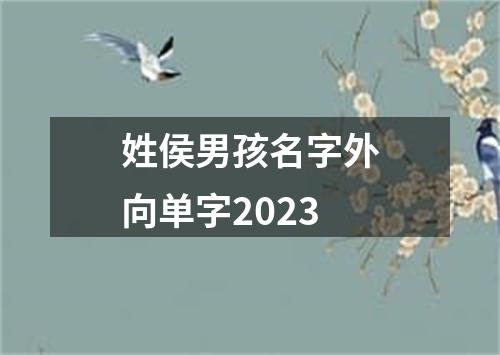 姓侯男孩名字外向单字2023