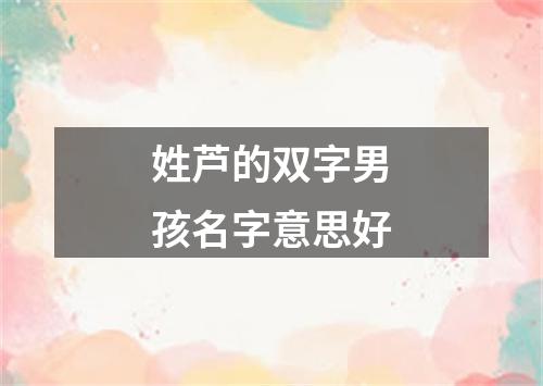 姓芦的双字男孩名字意思好