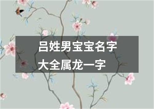 吕姓男宝宝名字大全属龙一字