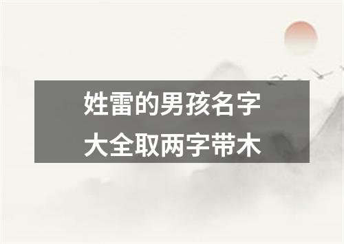 姓雷的男孩名字大全取两字带木