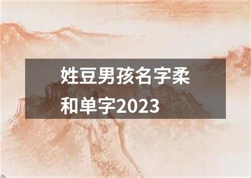 姓豆男孩名字柔和单字2023