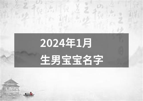 2024年1月生男宝宝名字