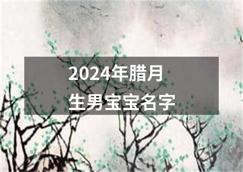 2024年腊月生男宝宝名字