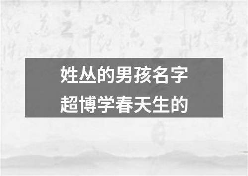 姓丛的男孩名字超博学春天生的