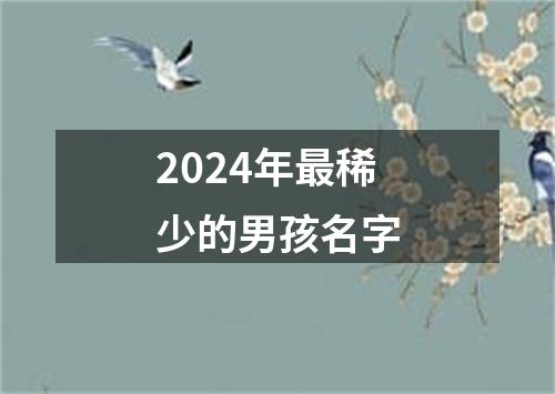 2024年最稀少的男孩名字