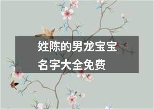 姓陈的男龙宝宝名字大全免费