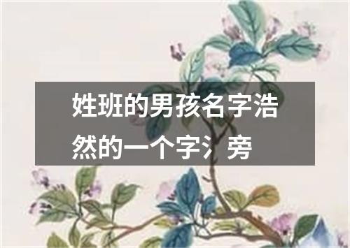 姓班的男孩名字浩然的一个字氵旁