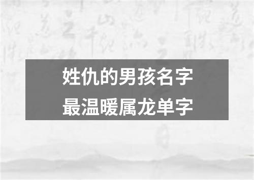 姓仇的男孩名字最温暖属龙单字