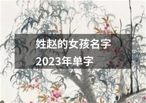 姓赵的女孩名字2023年单字