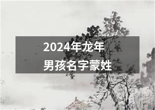 2024年龙年男孩名字蒙姓