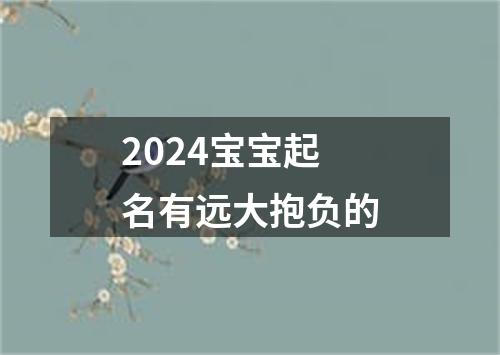 2024宝宝起名有远大抱负的