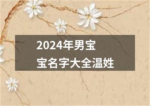 2024年男宝宝名字大全温姓