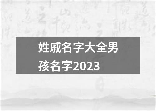 姓戚名字大全男孩名字2023