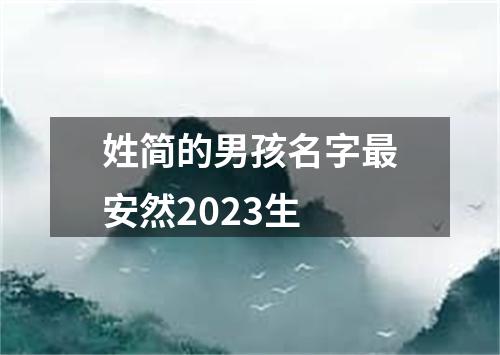 姓简的男孩名字最安然2023生