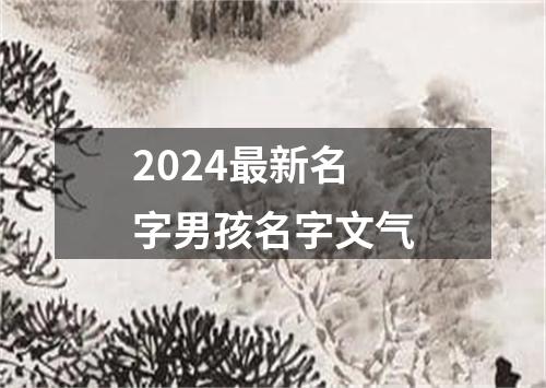 2024最新名字男孩名字文气