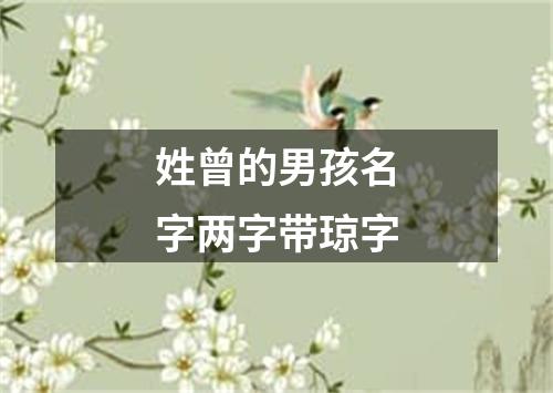 姓曾的男孩名字两字带琼字