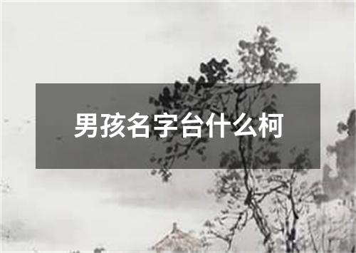 男孩名字台什么柯