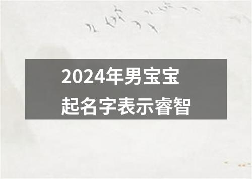 2024年男宝宝起名字表示睿智