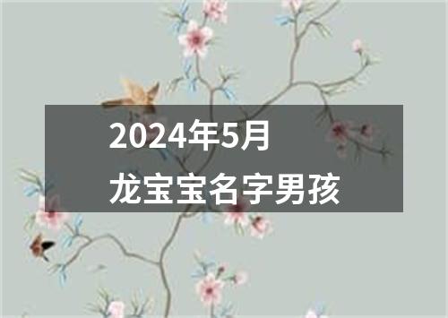 2024年5月龙宝宝名字男孩