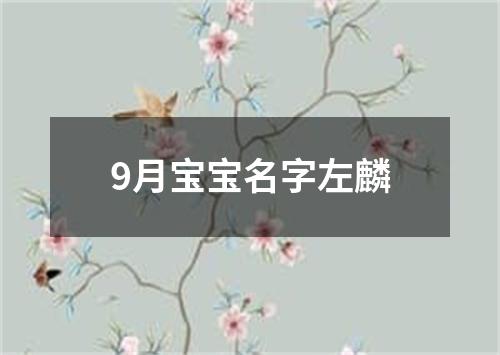 9月宝宝名字左麟