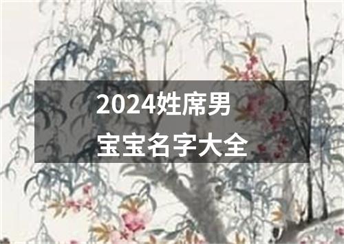 2024姓席男宝宝名字大全