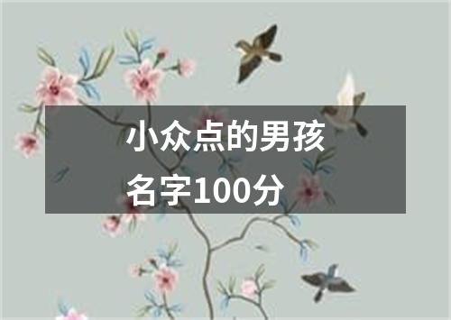 小众点的男孩名字100分