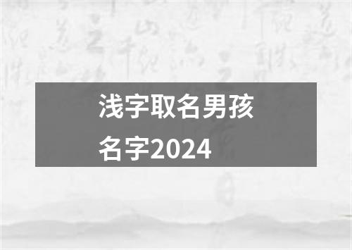 浅字取名男孩名字2024