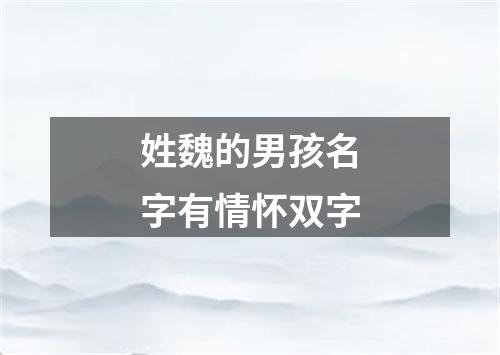 姓魏的男孩名字有情怀双字